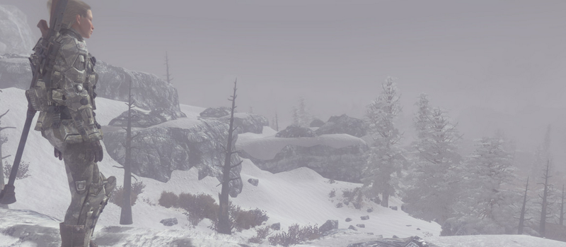 Illustration for article titled Fallout: New Vegas Mod Asks You To Survive A Hellish Icy Wasteland